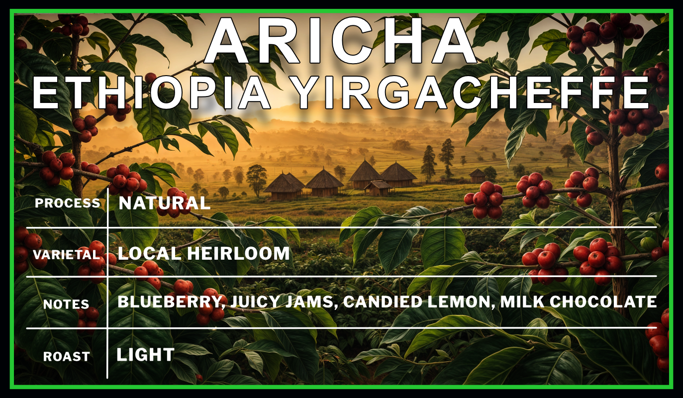 Aricha_Ethiopia_Yirgacheffe Single Speed Coffee Roasters Flagstaff