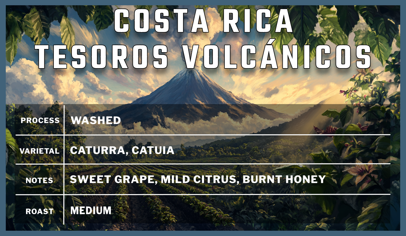 Costa Rican Tesoros Volcanicos Single Speed Coffee Roasters