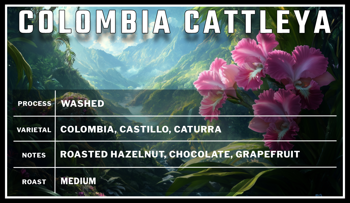 Colombia Cattleya Single Speed Coffee Roasters Flagstaff