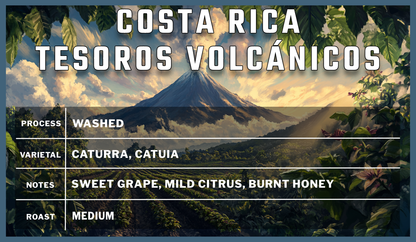 Costa Rican Tesoros Volcanicos Single Speed Coffee Roasters