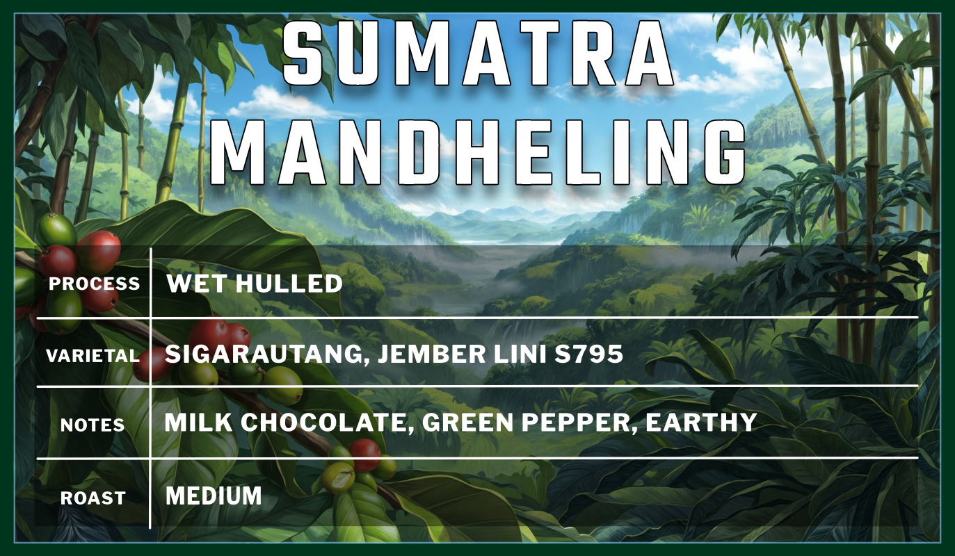 Sumatra Mandheling Single Speed Coffee Roasters Flagstaff